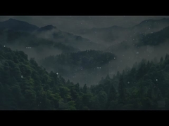 Solución de almacenamiento de energía y proveedor de servicios